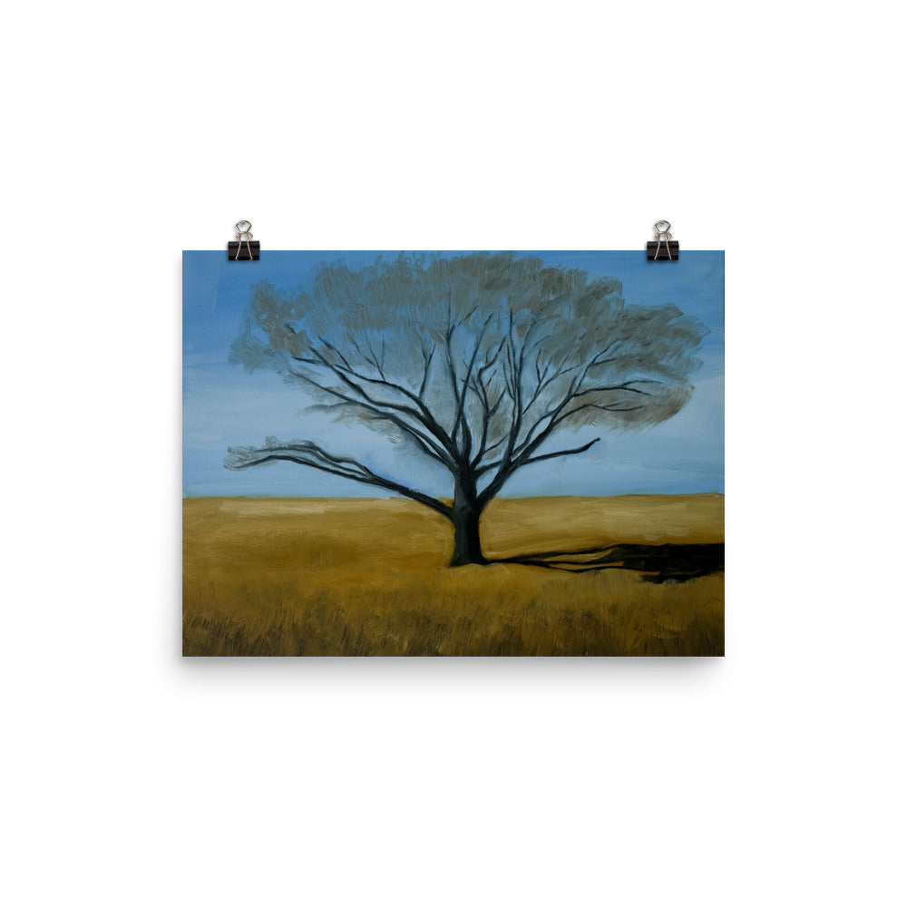 Landscape 2