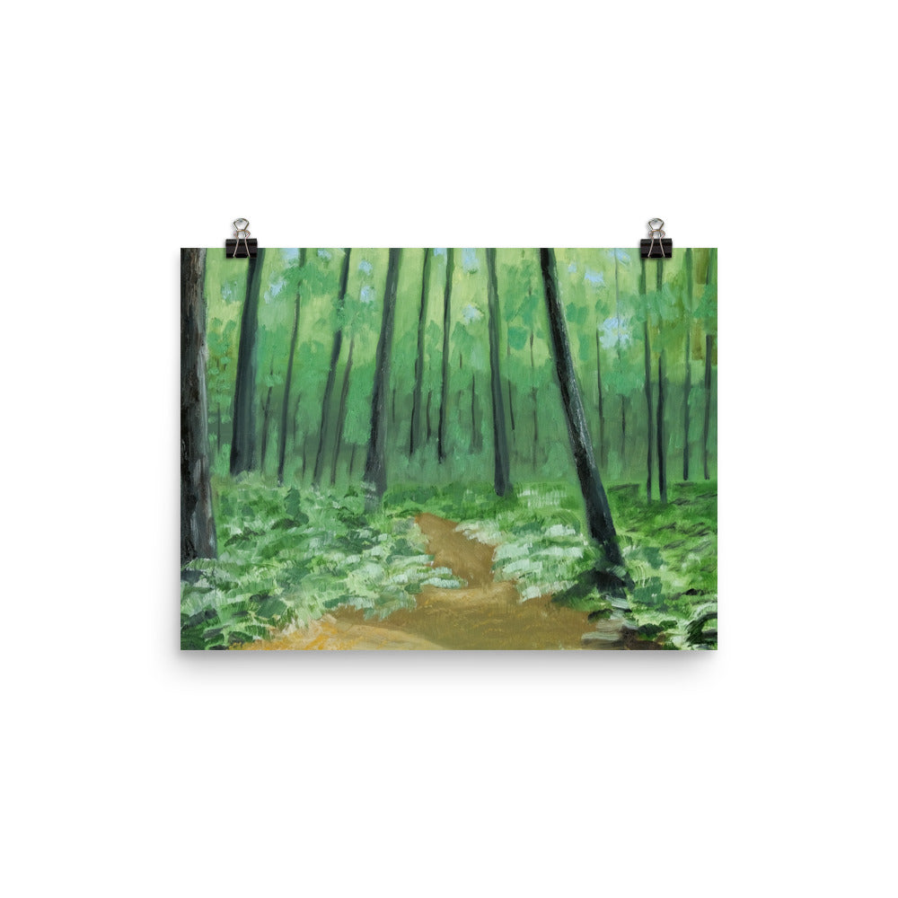 Landscape 3