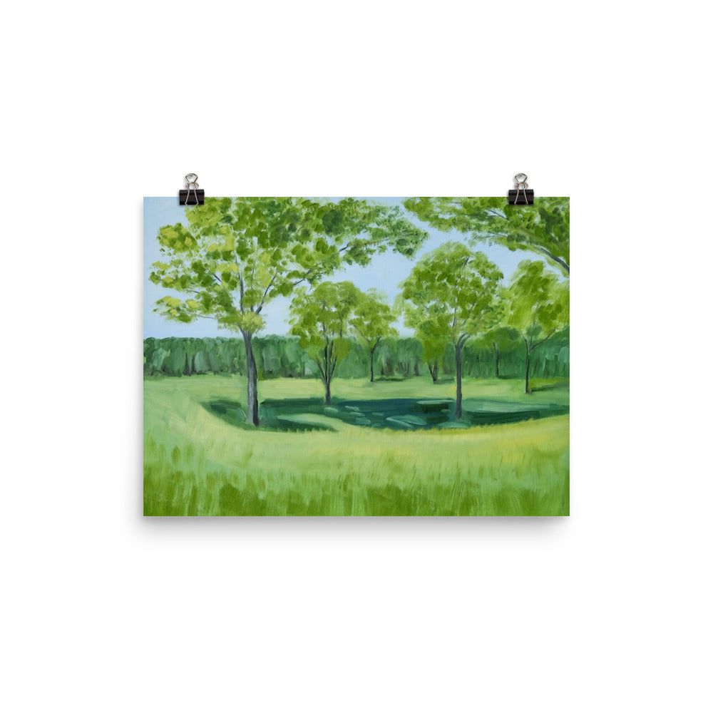 Landscape 4