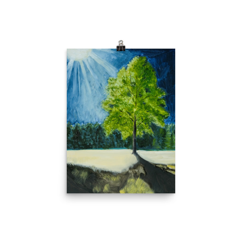 Landscape 5