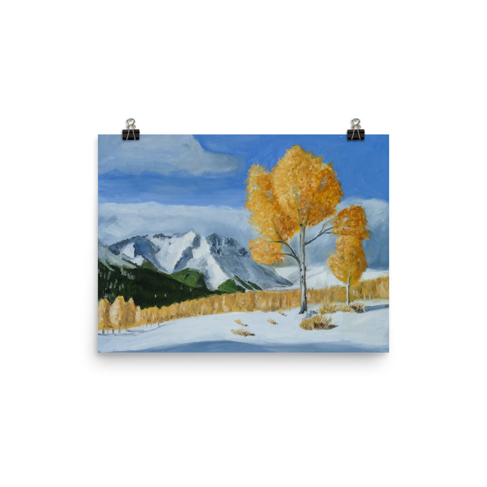 Landscape 13
