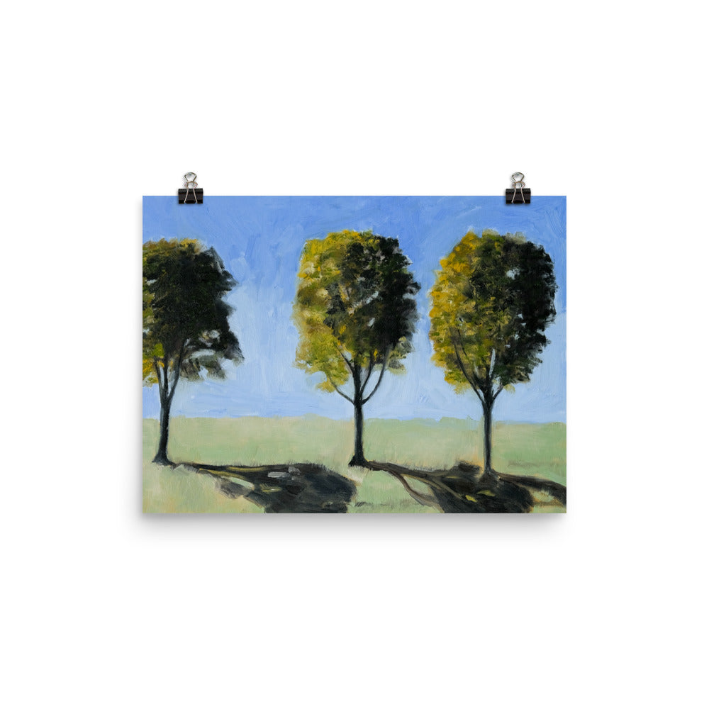 Landscape 14