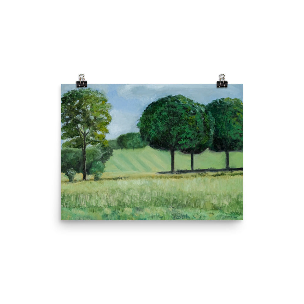 Landscape 18