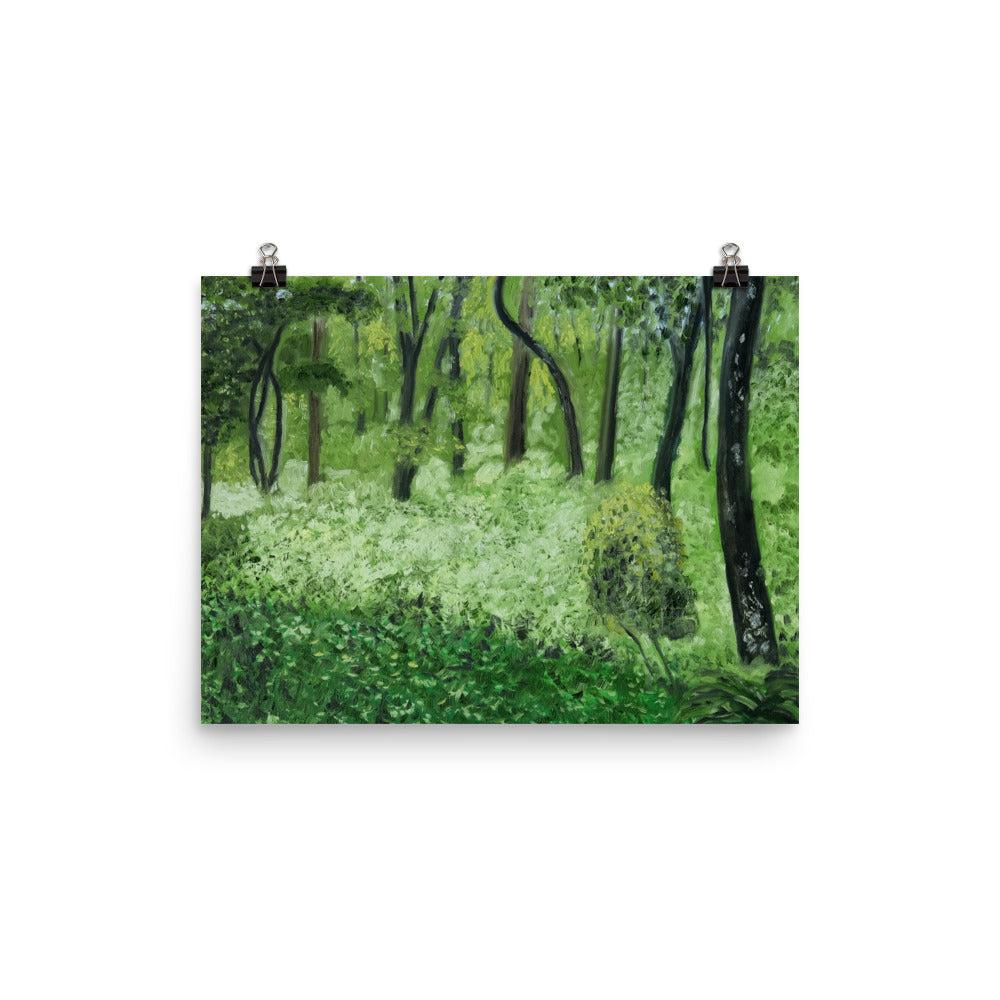 Landscape 24