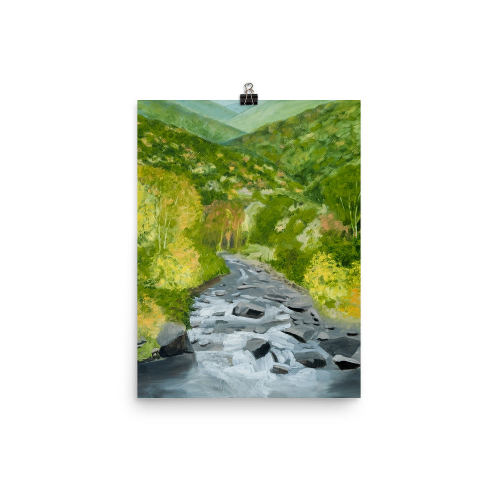 Landscape 25