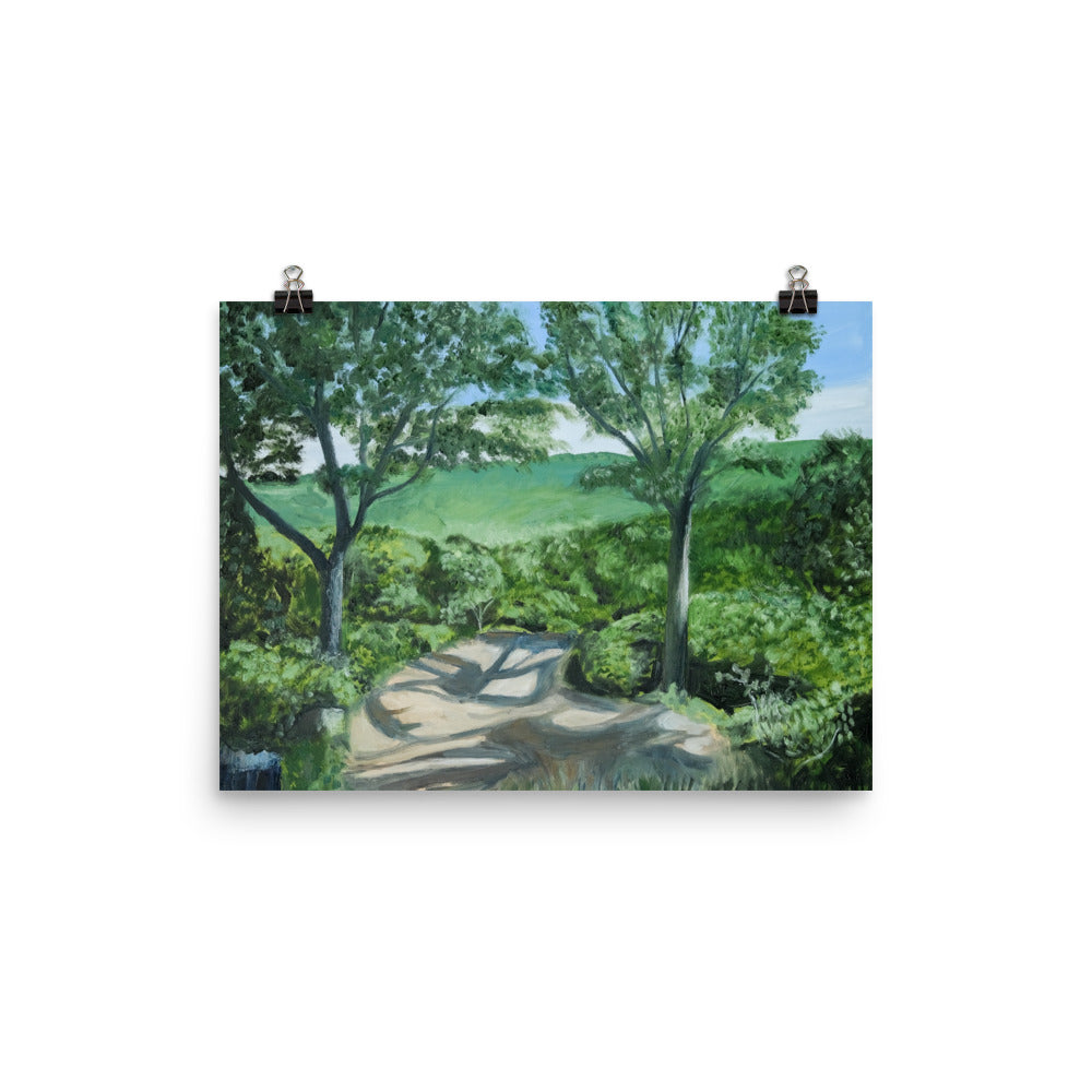 Landscape 27
