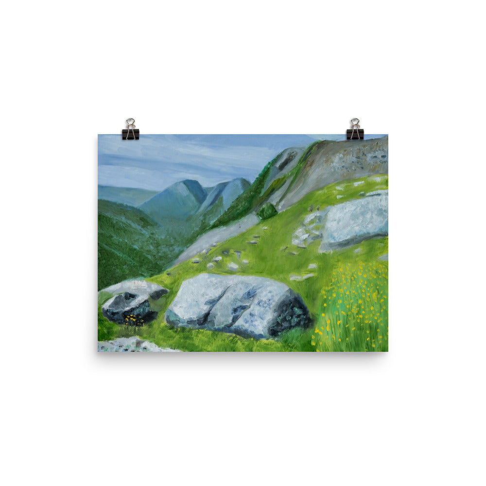 Landscape 37