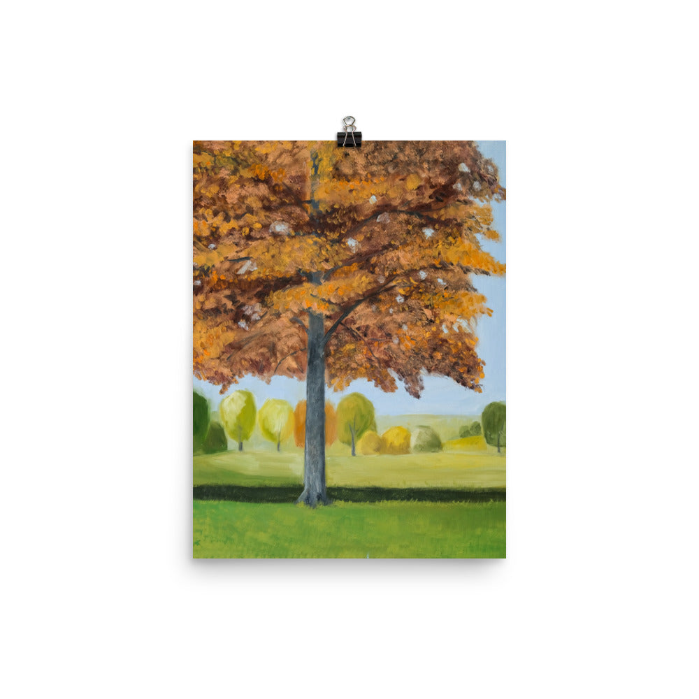 Landscape 41