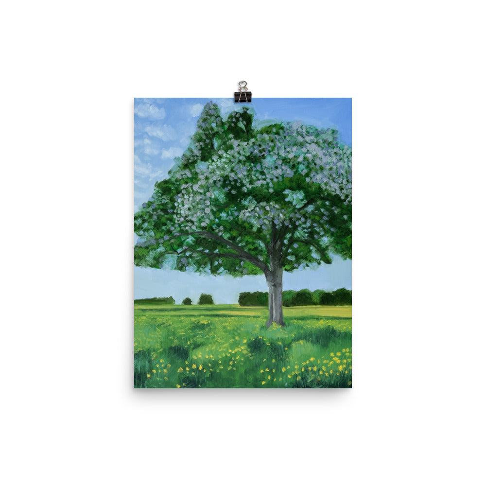 Landscape 42