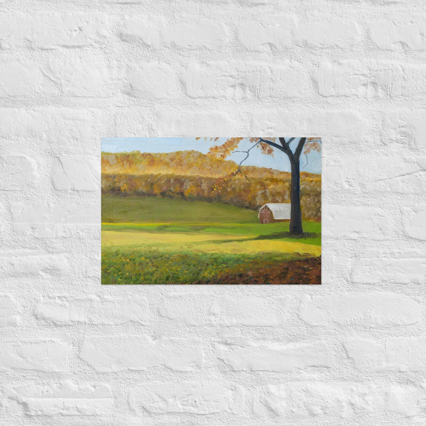 Field and barn
