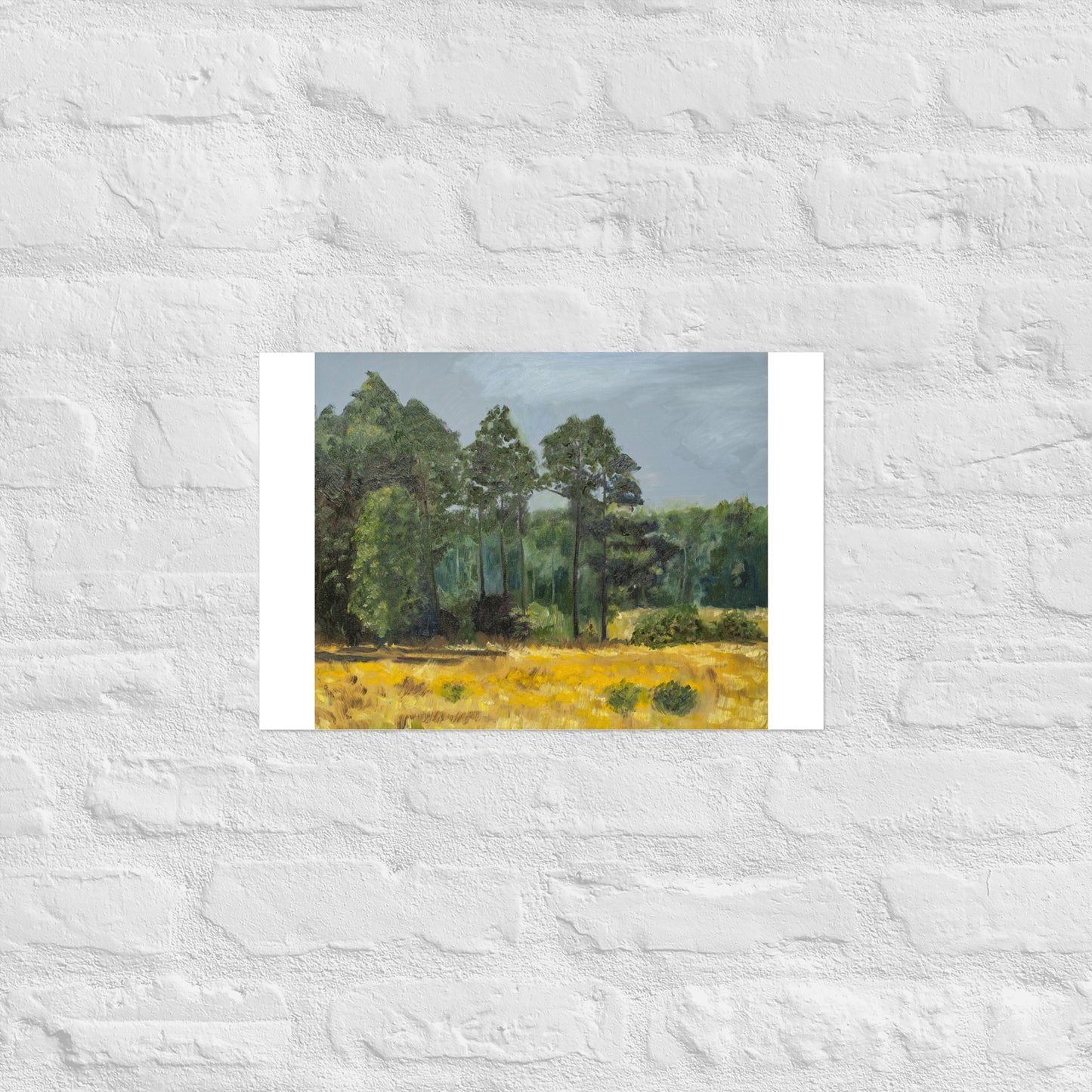 Trees in middleground