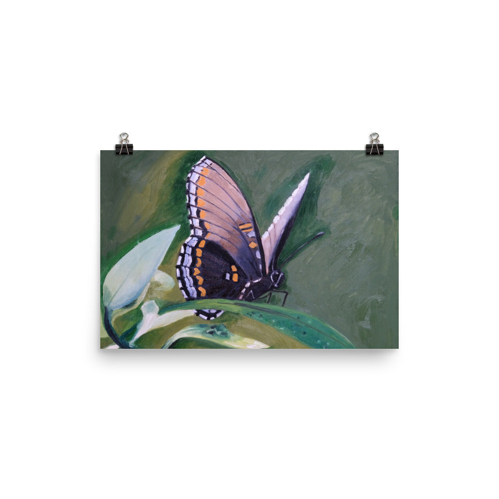 Monarch butterfly