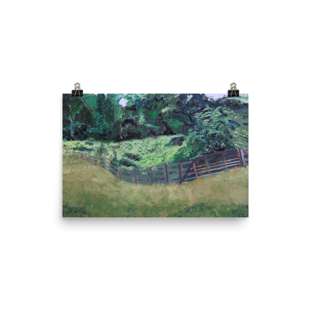 Field and pasture