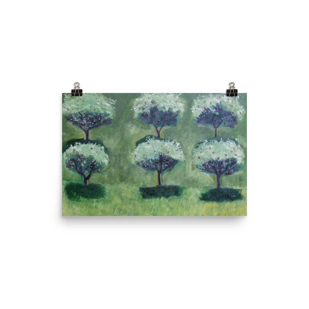 Apple trees