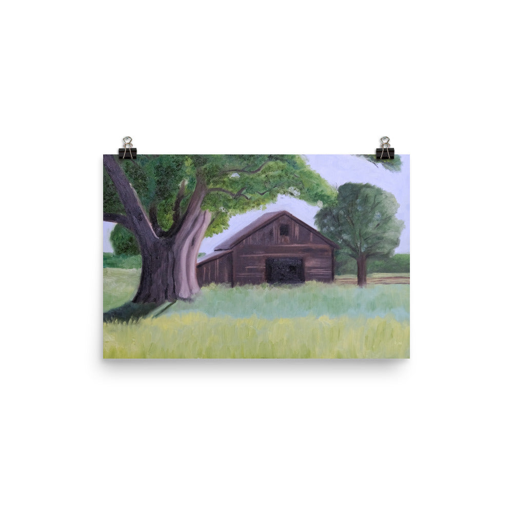 Oak tree and barn