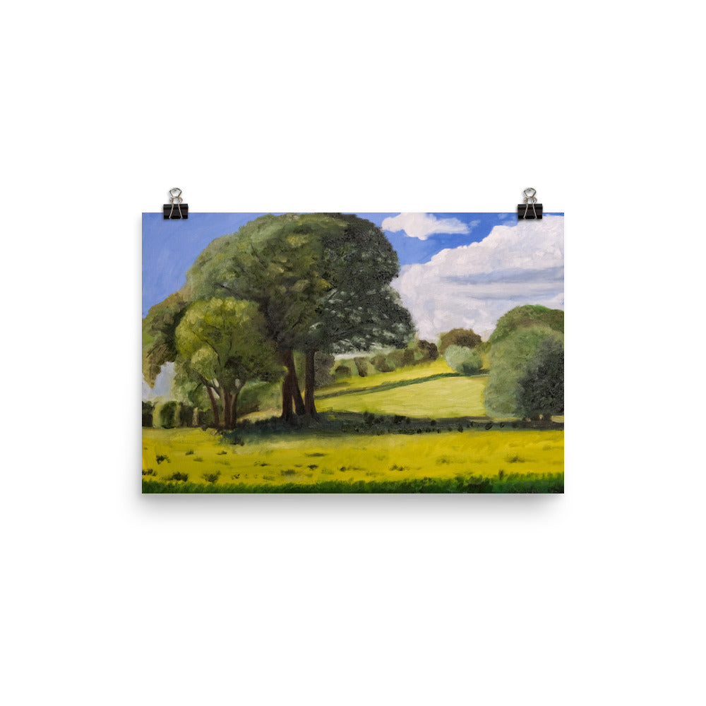 Trees in field