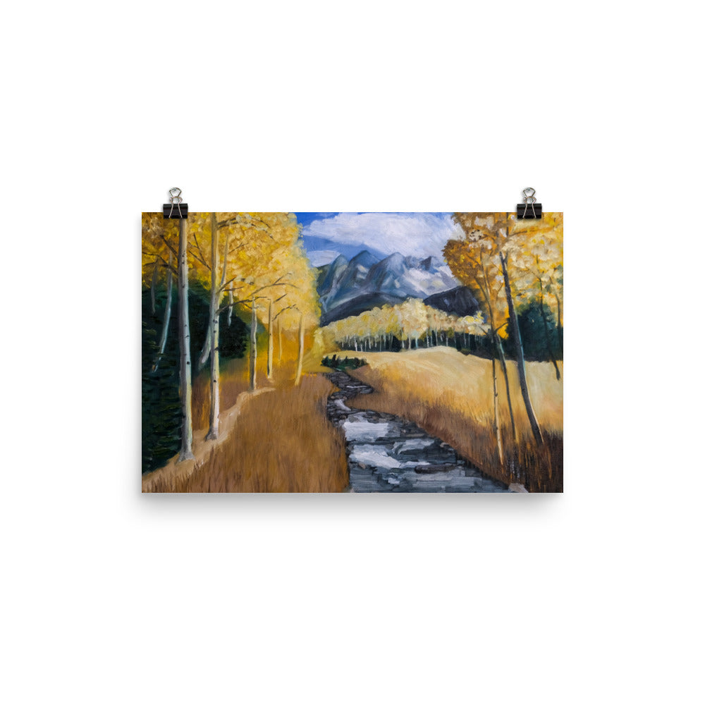 Stream and aspen trees