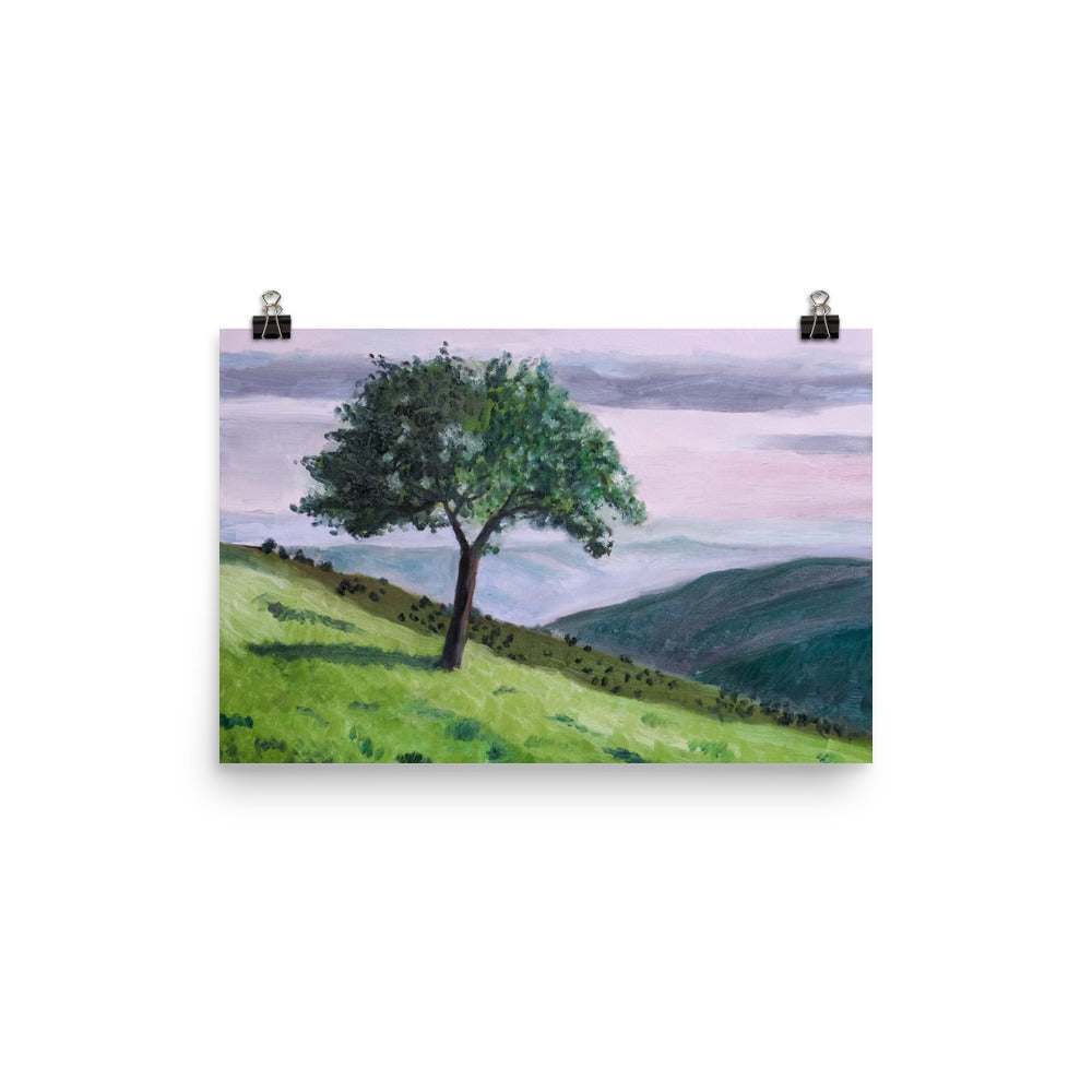 Apple tree