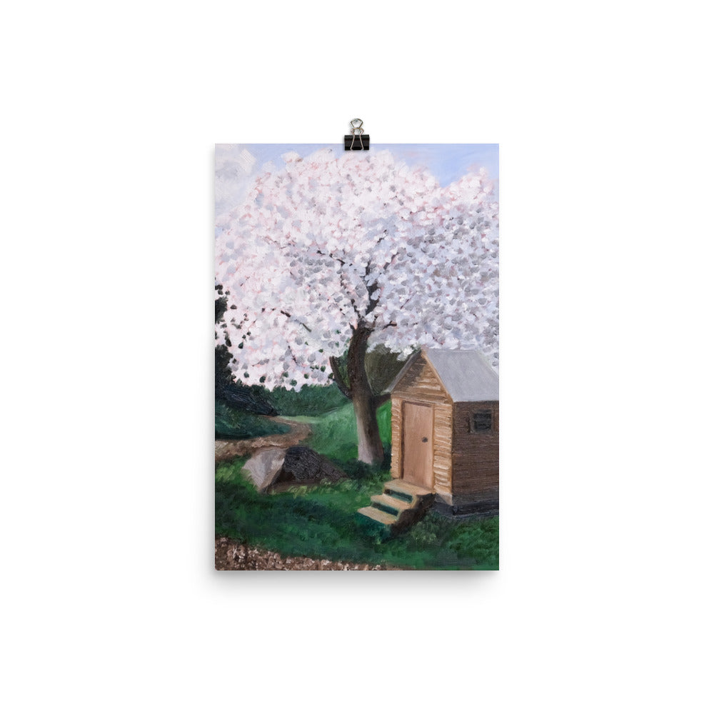 Cherry tree and outhouse