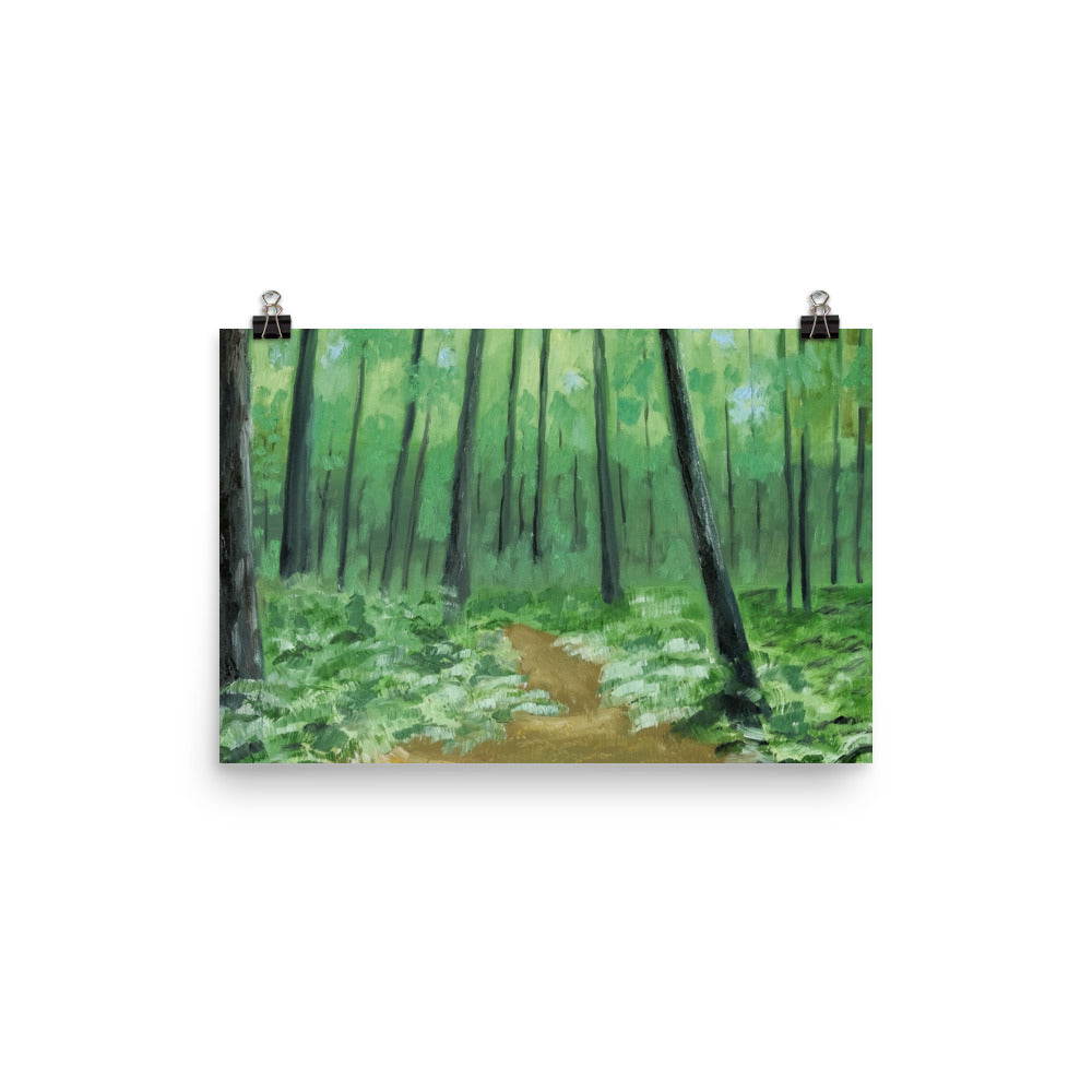 Landscape 3