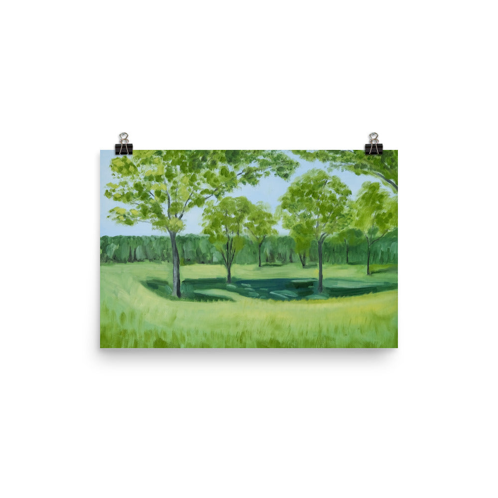 Landscape 4