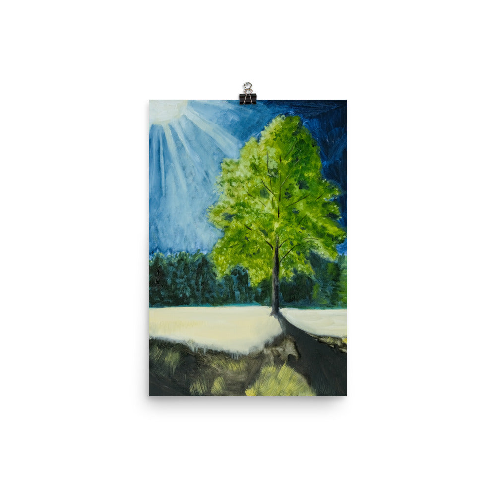 Landscape 5