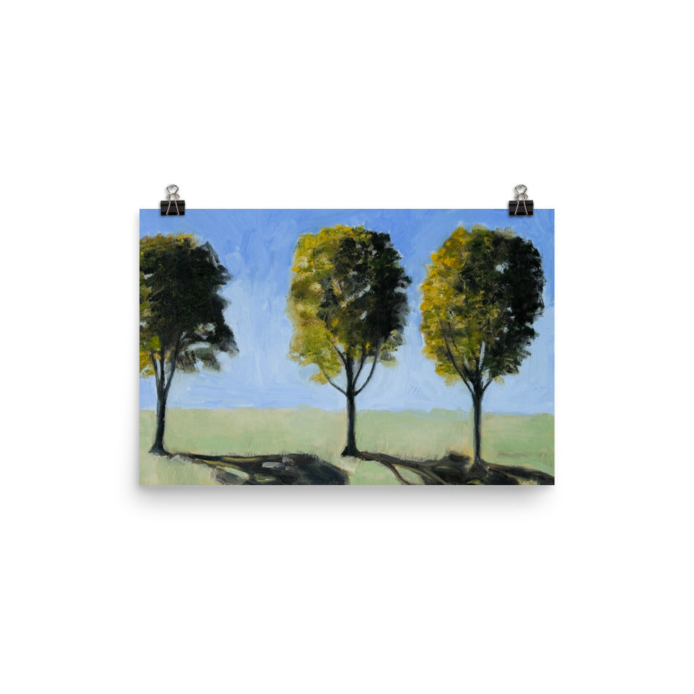 Landscape 14