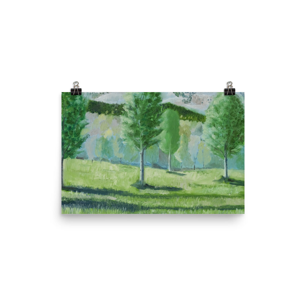 Landscape 16