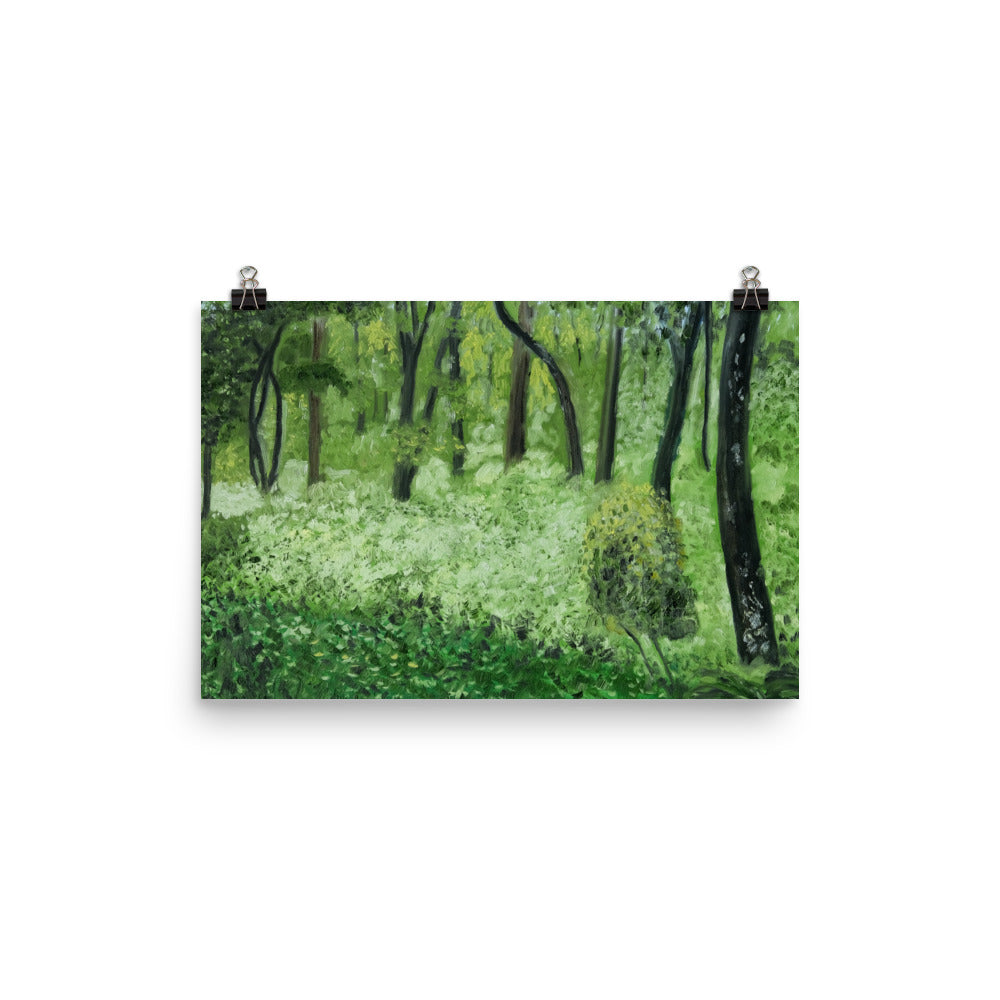 Landscape 24