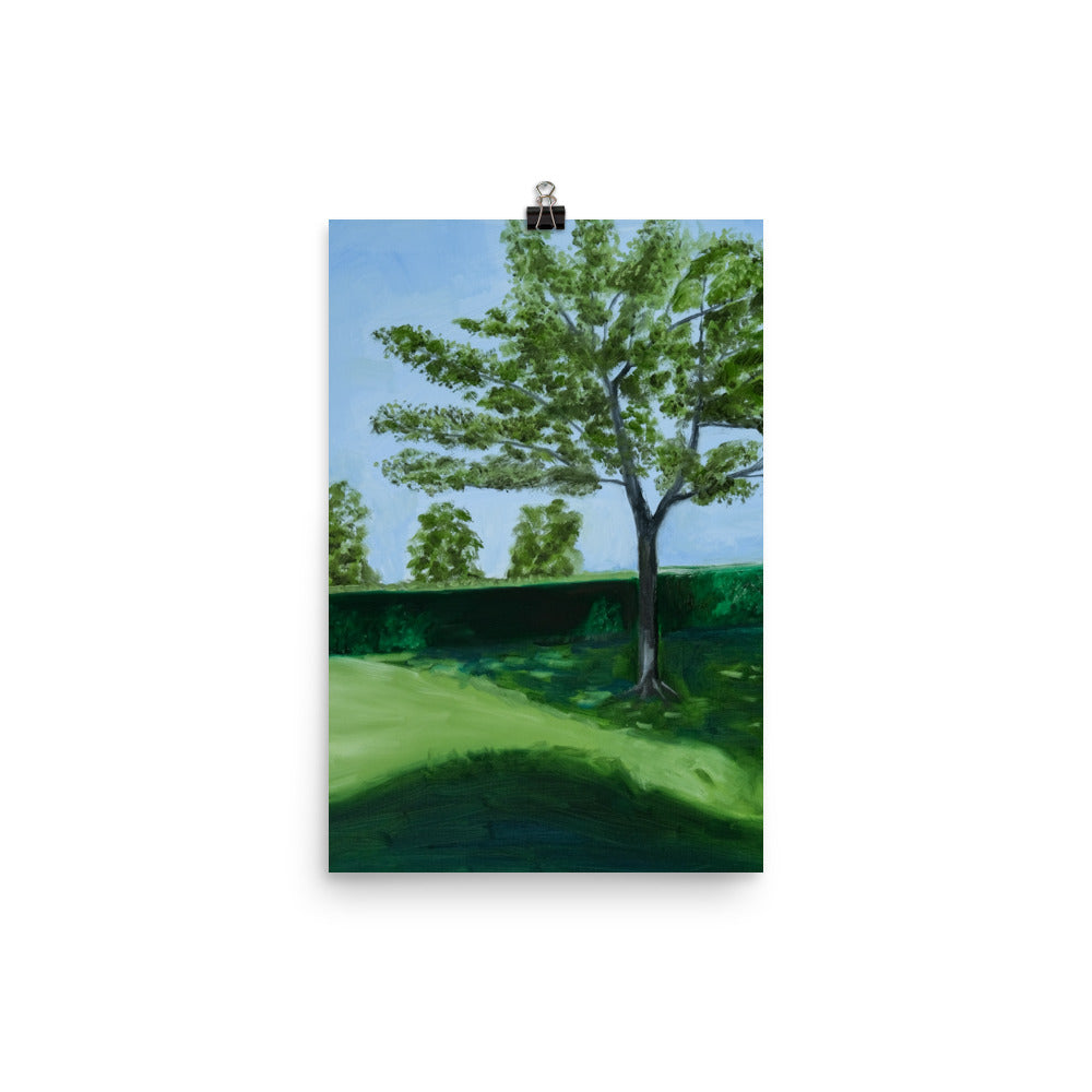 Landscape 28