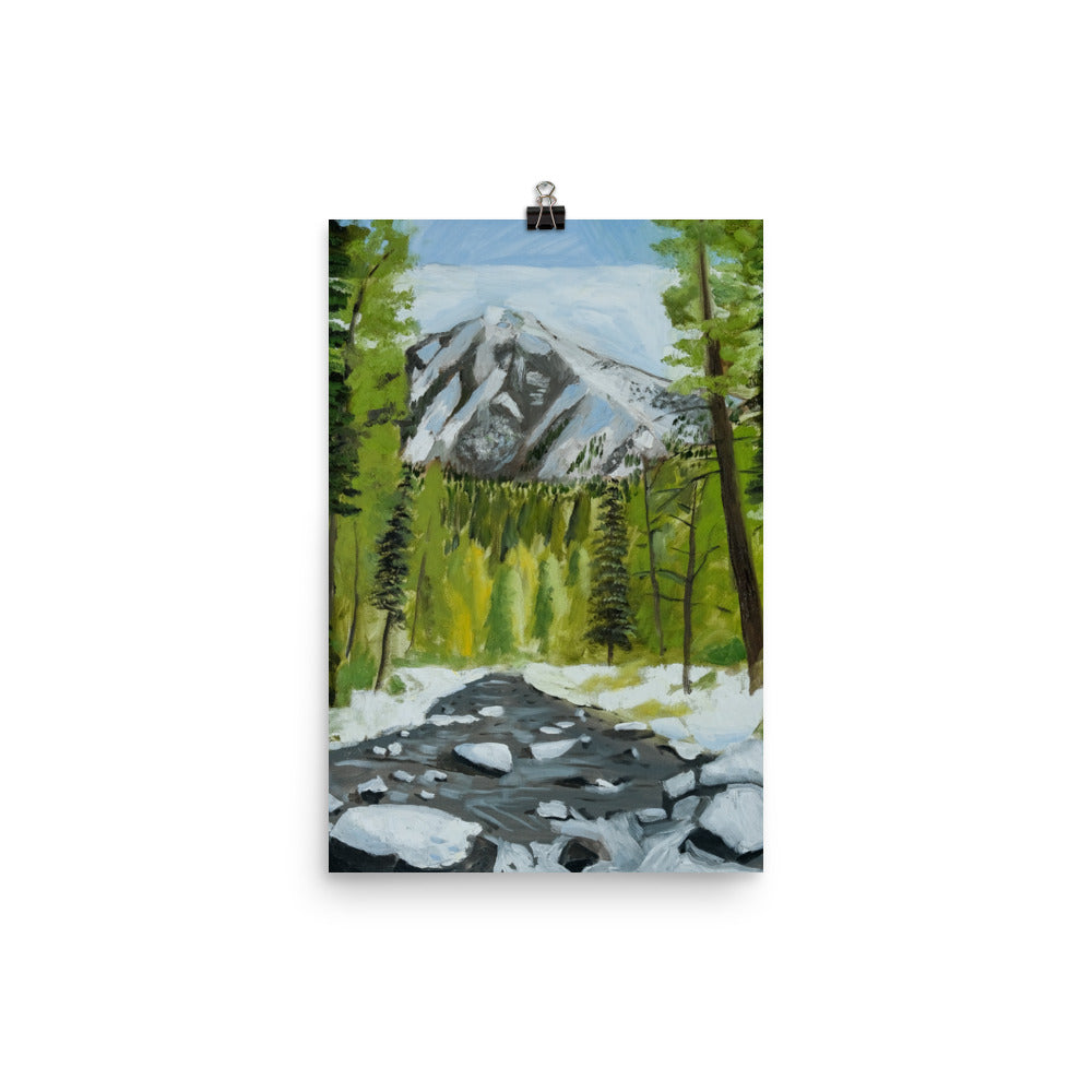 Landscape 29