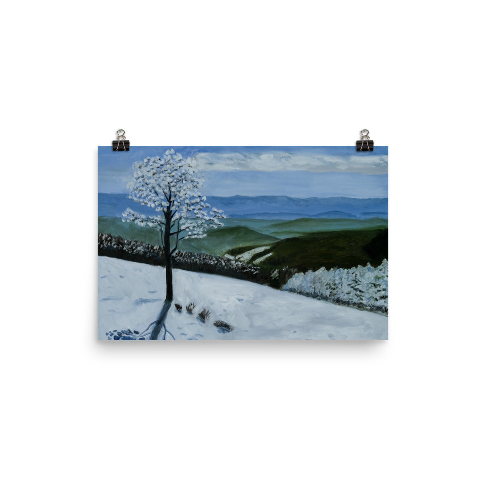 Landscape 34