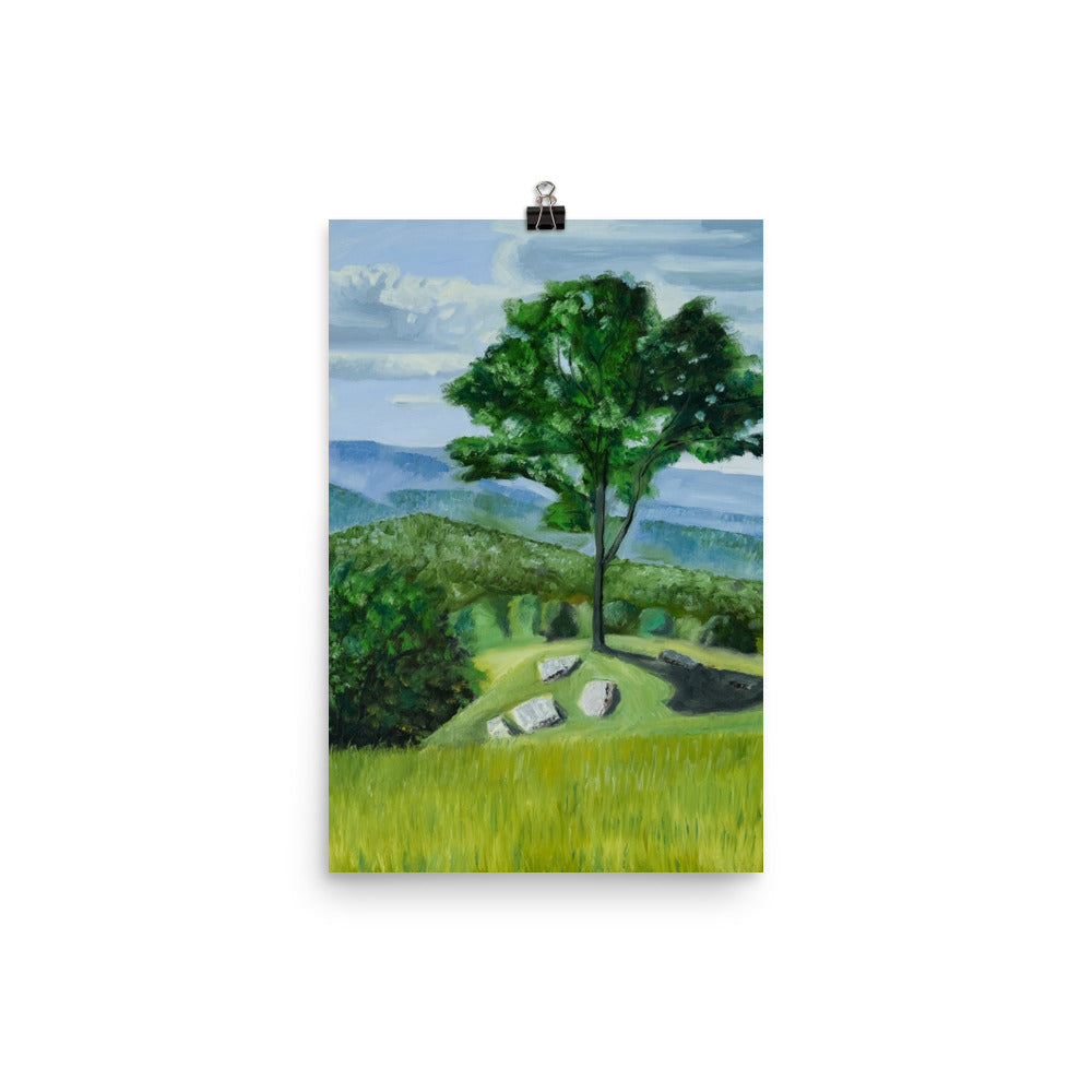 Landscape 36