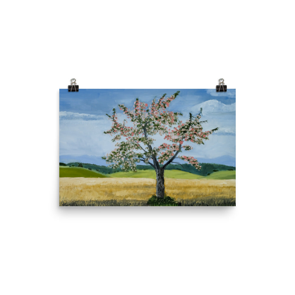 Landscape 38
