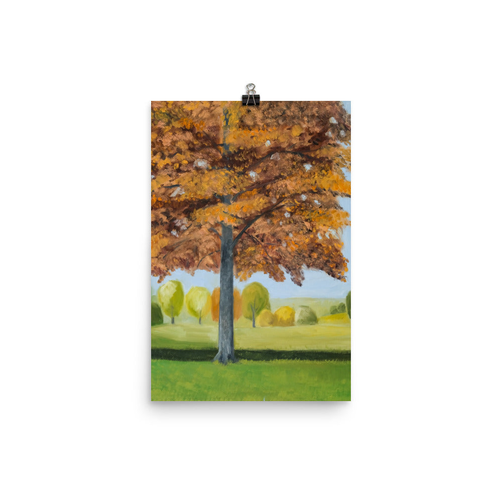 Landscape 41