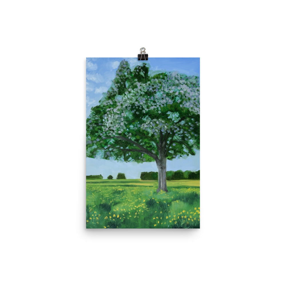 Landscape 42