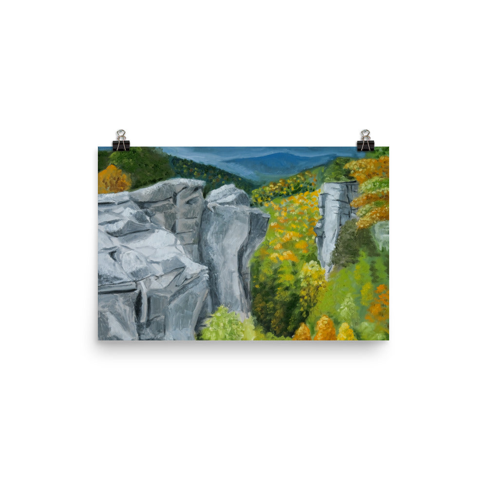 Landscape 43