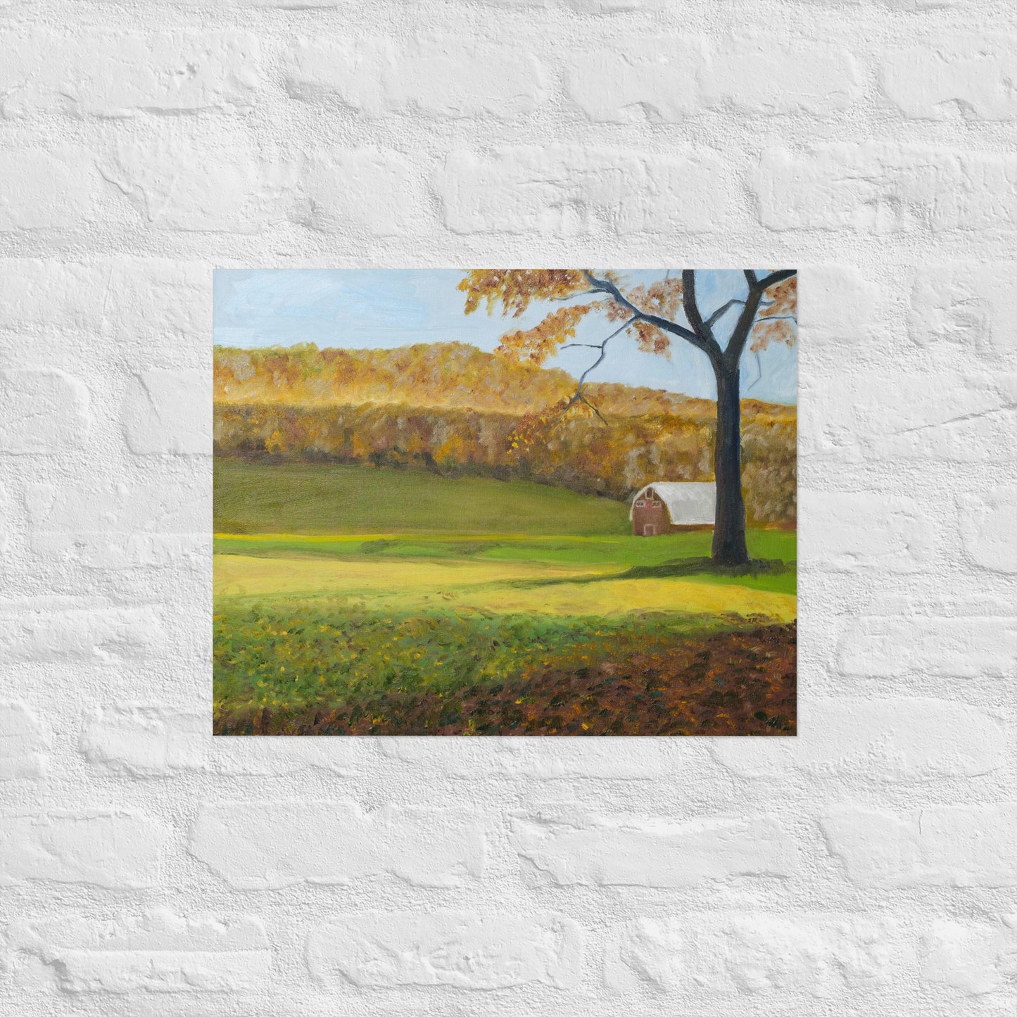 Field and barn