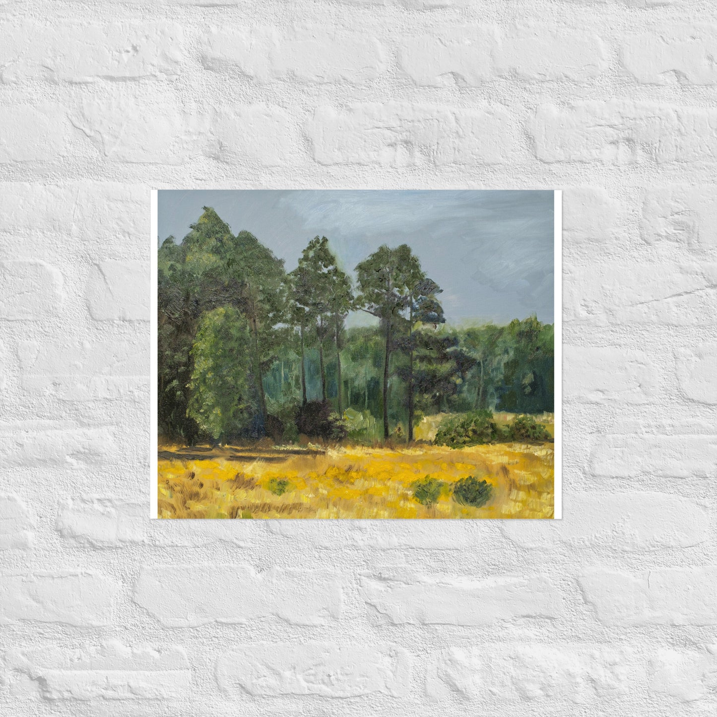 Trees in middleground