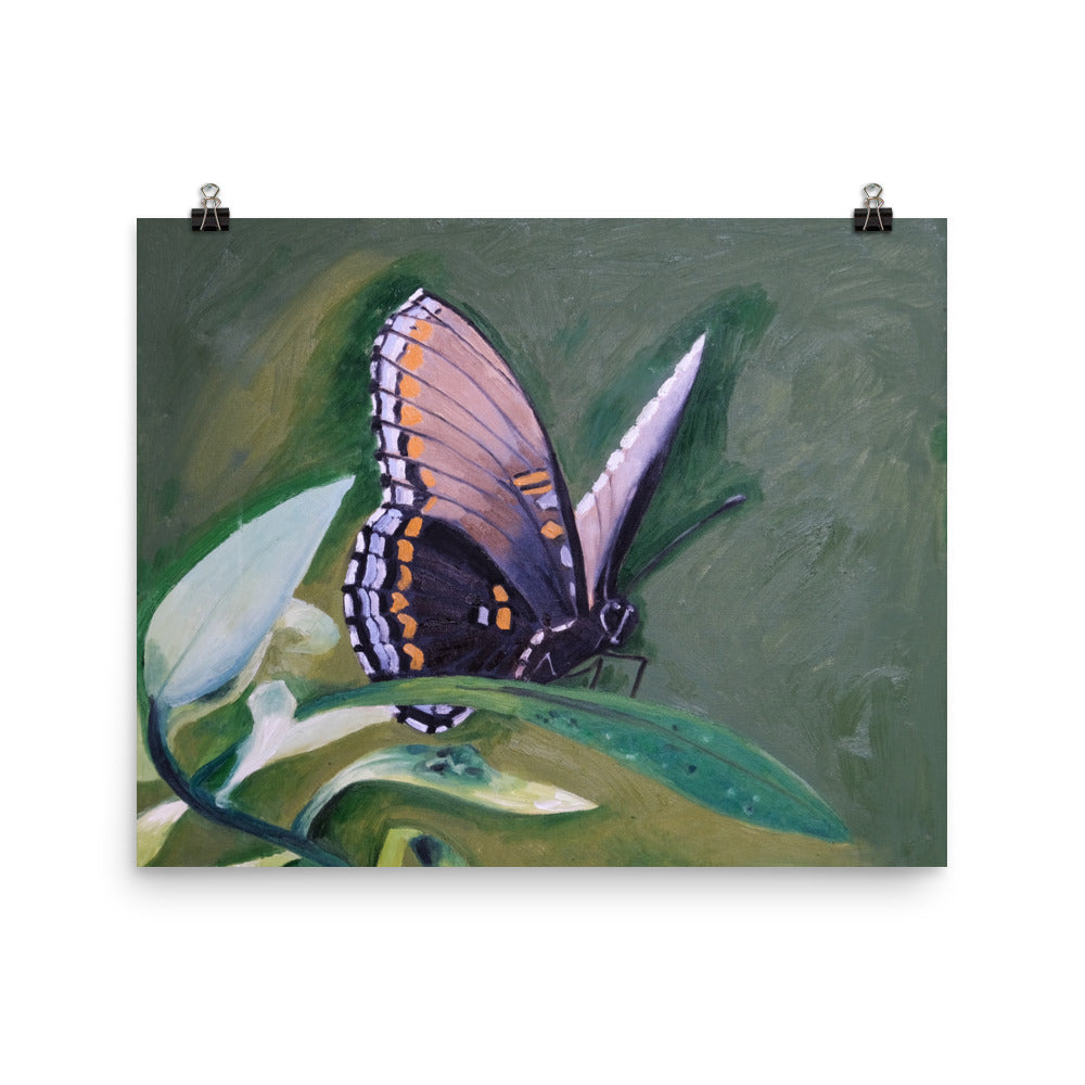 Monarch butterfly