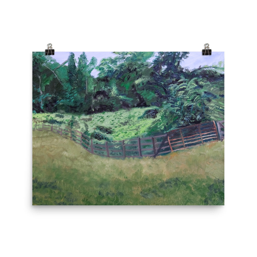 Field and pasture