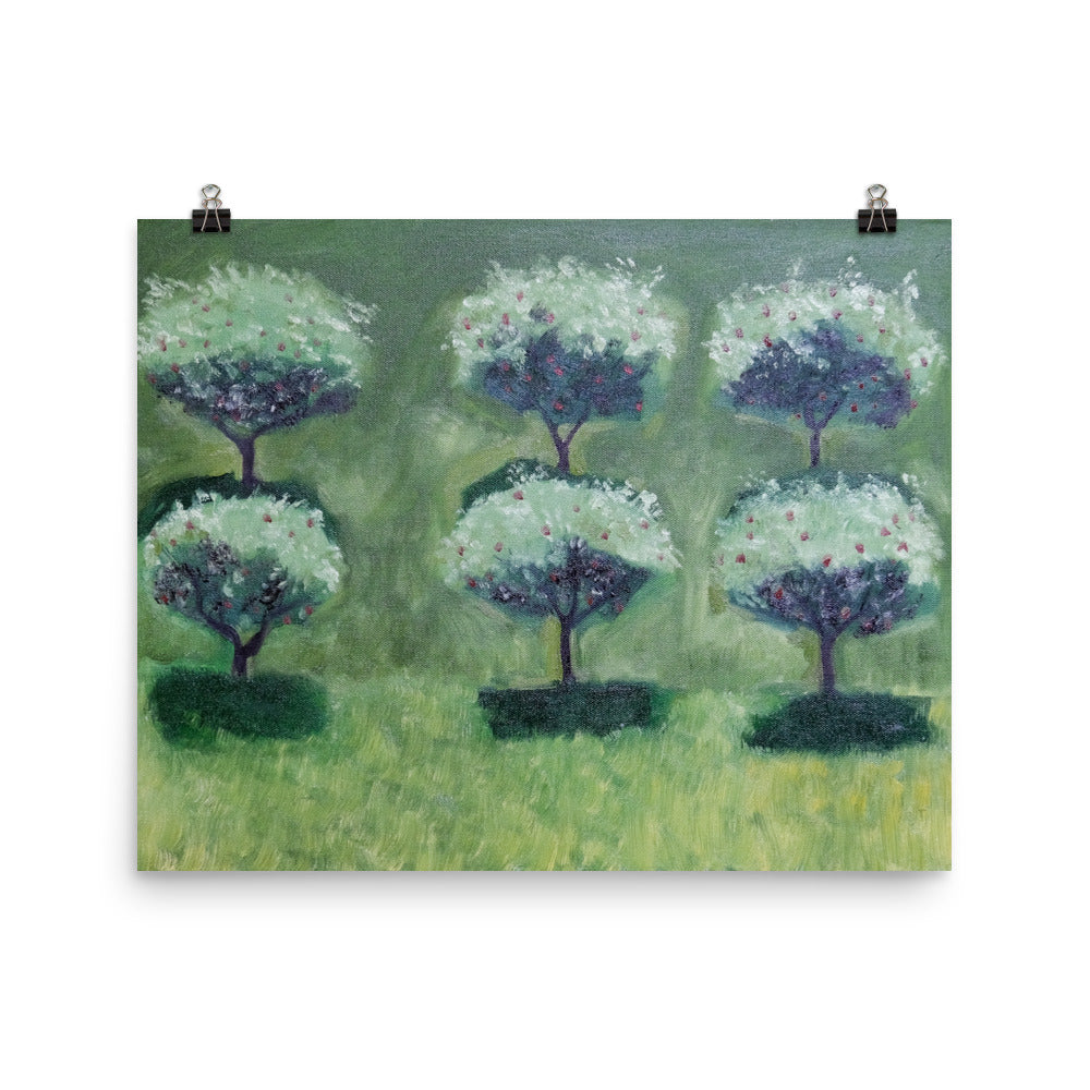 Apple trees