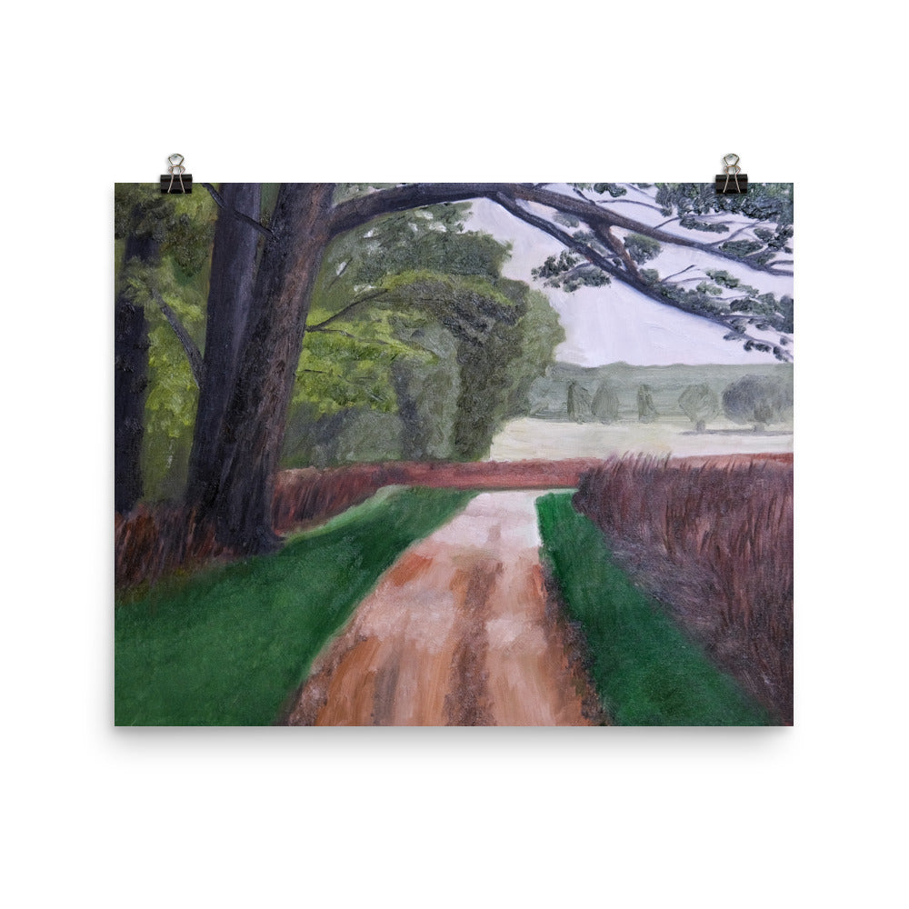 Path with heath