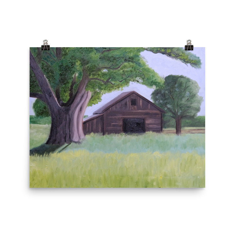 Oak tree and barn