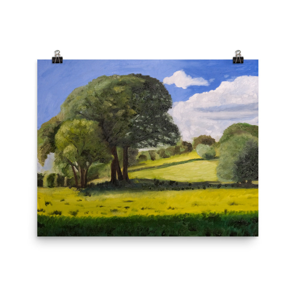 Trees in field