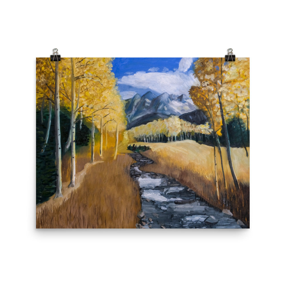 Stream and aspen trees