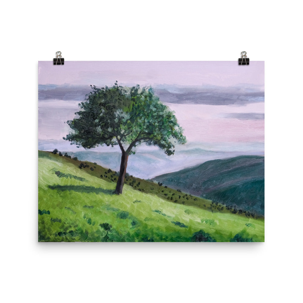 Apple tree