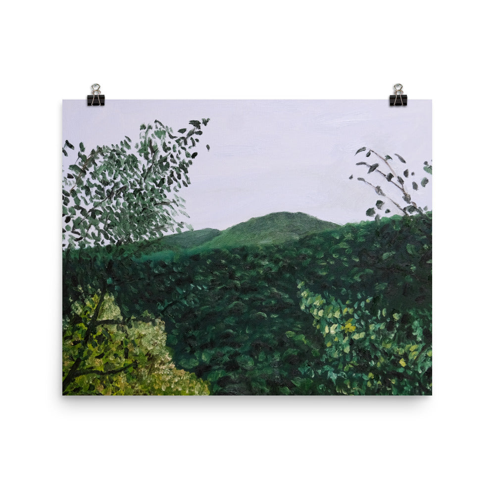 Mountain view