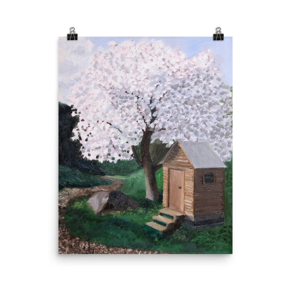 Cherry tree and outhouse