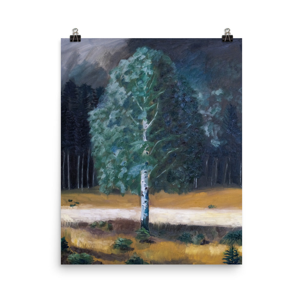 Birch tree